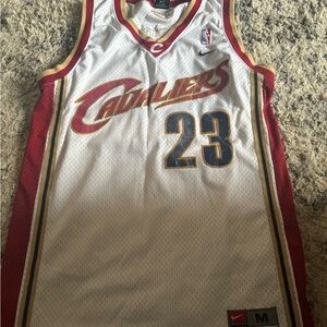 Vintage lebron James jersey